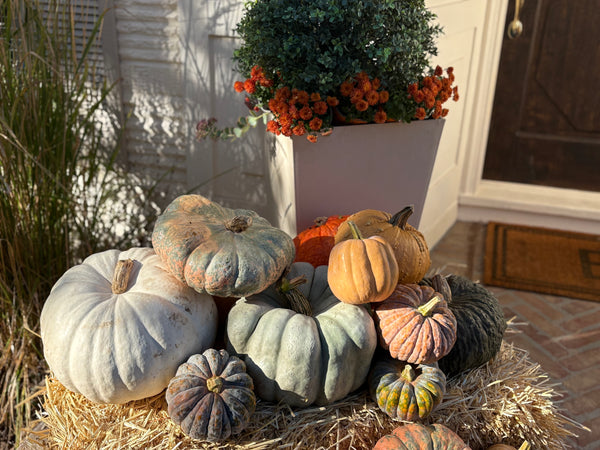 Porch/Patio Decoration Kit
