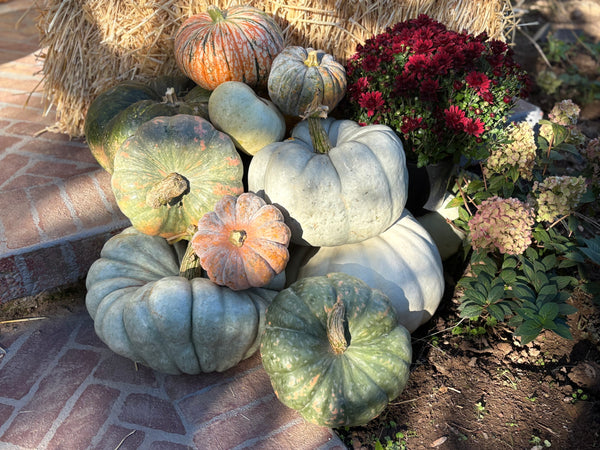 Porch/Patio Decoration Kit