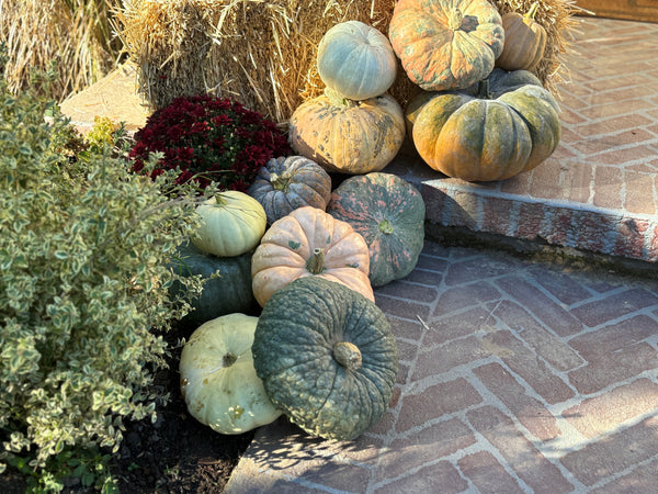 Porch/Patio Decoration Kit