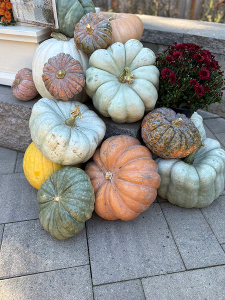 Porch/Patio Decoration Kit