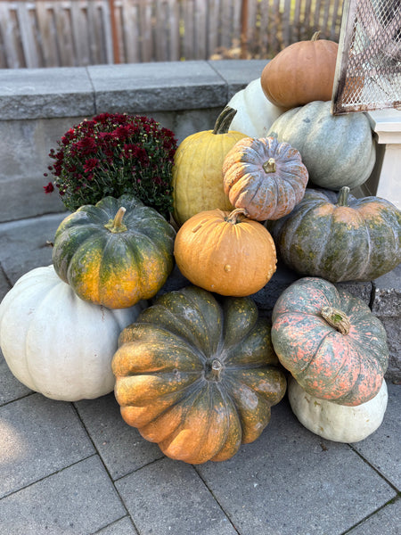 Porch/Patio Decoration Kit