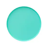 Large Plate Mint