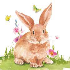 Mr Rabbit Beverage Napkins